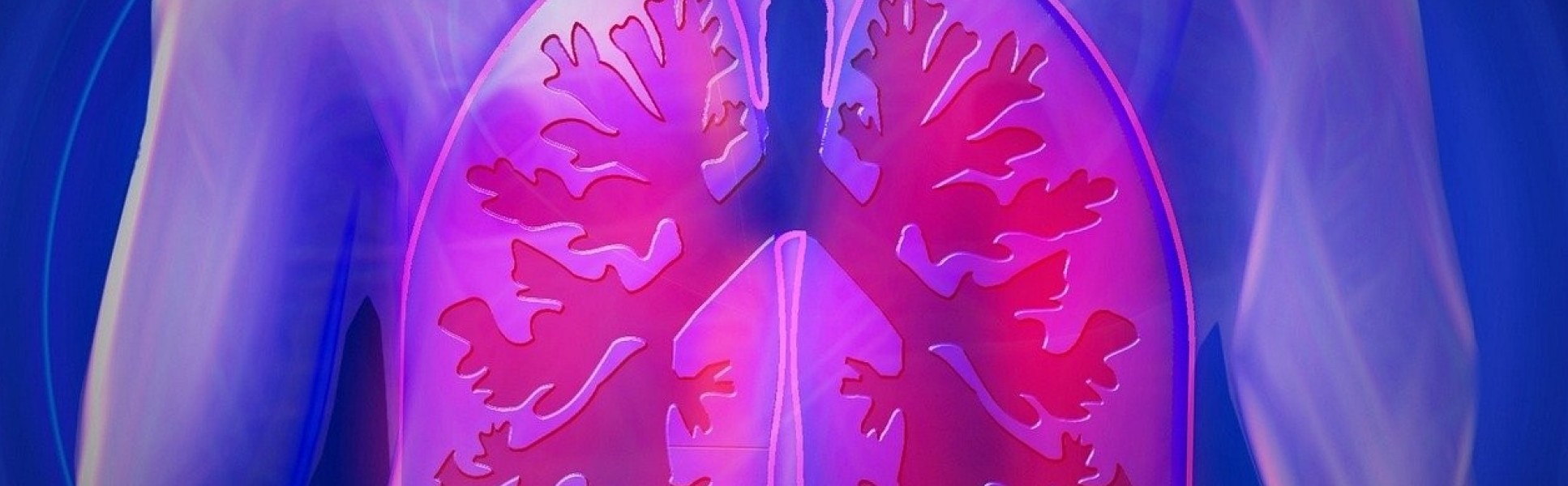 graphic of lungs