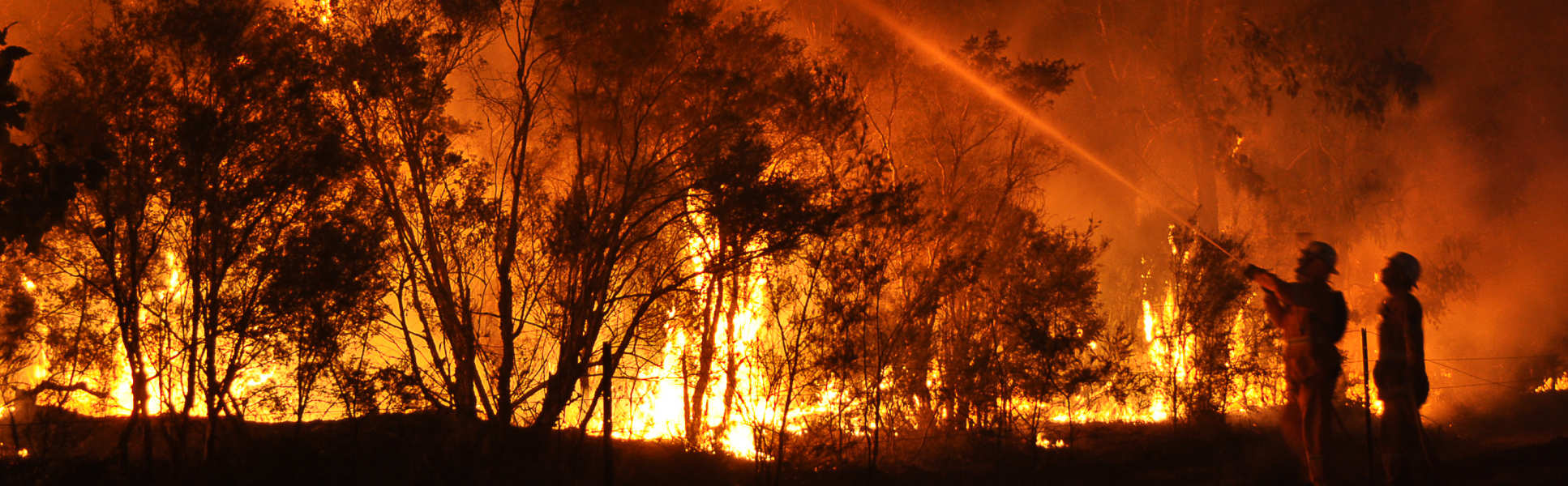 Firefighters tackling a forest fire at night