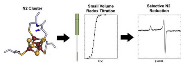 Small-volume potentiometric titrations: EPR investigations of Fe-S cluster N2 in mitochondrial complex I
