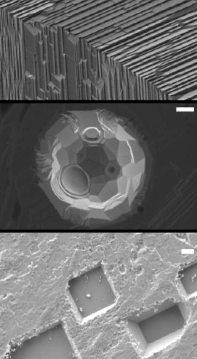   Thermal etching of silver leading to morphological surface changes: striations and etch pits (scale bars 1Î¼m)