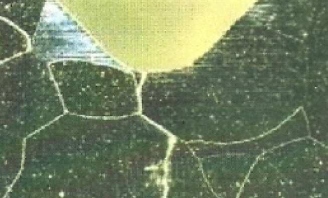   Fatigue crack nucleation and microstructural short crack growth in a notched Ferritic Steel sample (courtesy of Nippon Steel Corp)