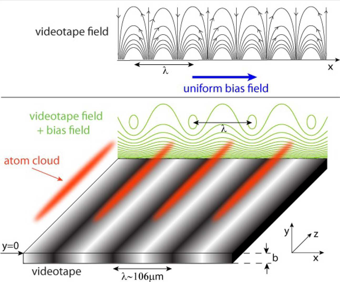 Fig. 2. Magnetic fields used to create an array of videotape magnetic micro-traps. Top: field lines generated by the sinusoidally magnetised videotape, and uniform bias field. Bottom: contours of constant magnetic field strength of combined videotape field and bias field. As a result, atoms can be trapped in an array of elongated magnetic traps separated by a distance µ~106µm along x.