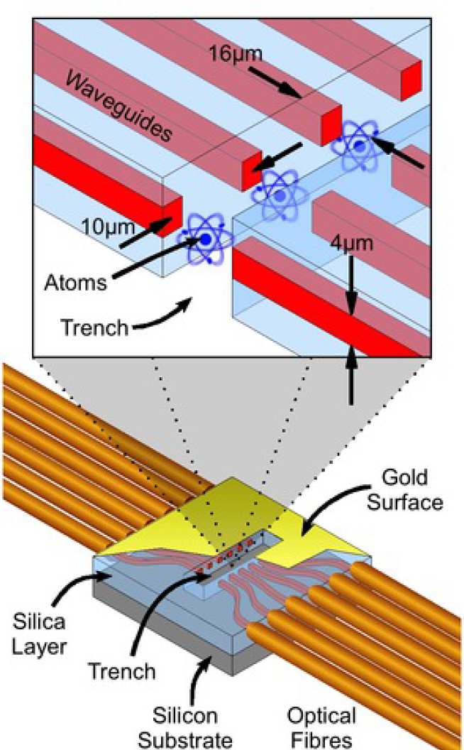  A schematic view of the waveguide chip
