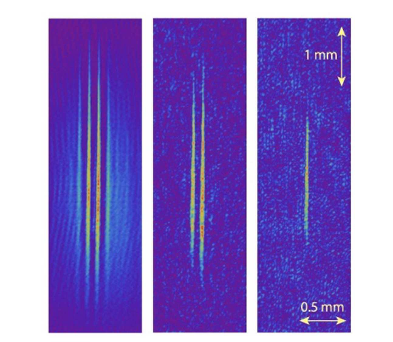 Fig. 4. In-trap absorption images of atoms loaded into one or several videotape traps. From left to right, the temperature of the best-loaded (central) videotape trap decreases from 50µK to 10µK. The length scale is the same for all images.