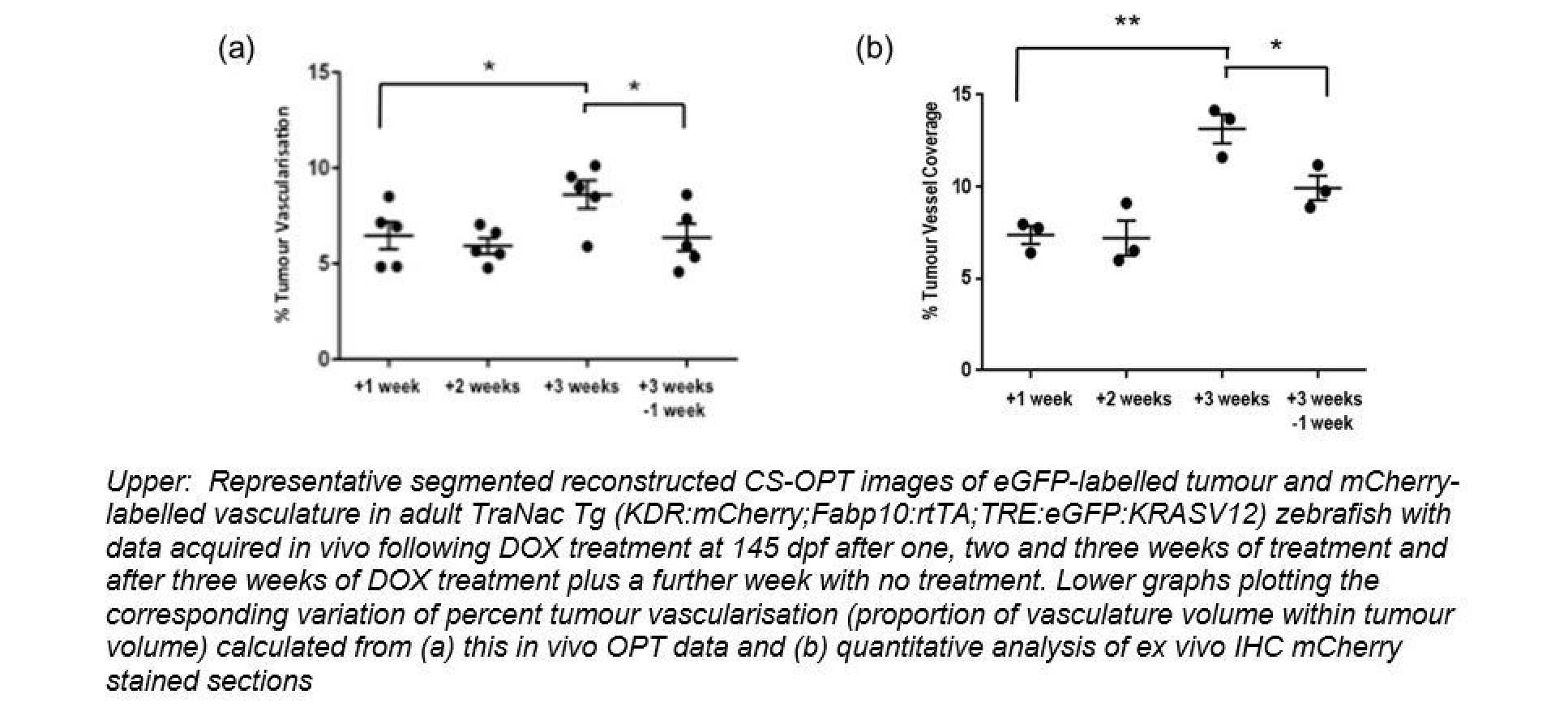 Fig6