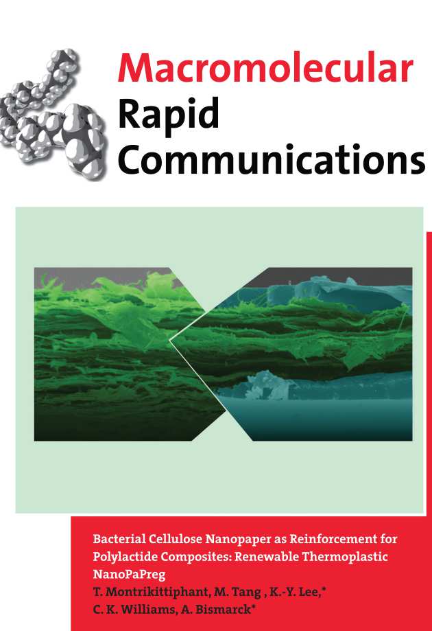 Macromolecular Rapid Communications 2014