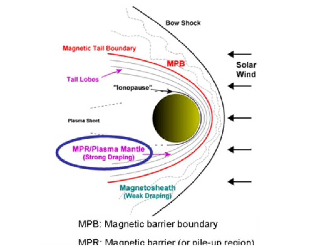 Magnetized Environment of Venus