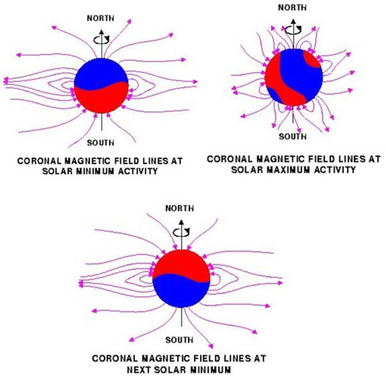 These diagrams show how magnetic field lines in the Sun's atmosphere, the corona, vary through the solar activity cycle: