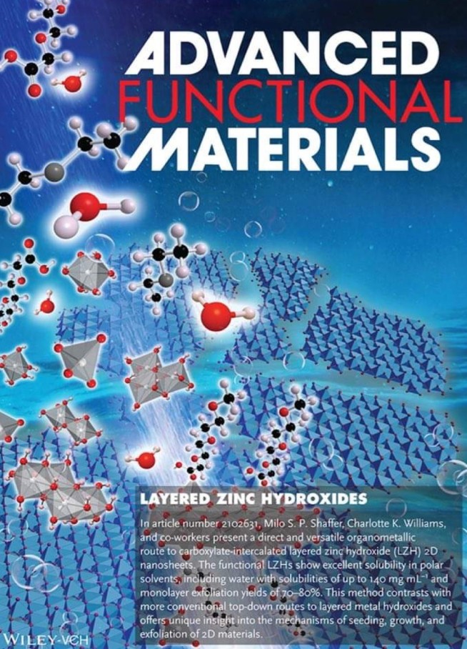 AFM cover Layered Zinc Hydroxides: Direct Organometallic Synthesis of Carboxylate Intercalated Layered Zinc Hydroxides for Fully Exfoliated Functional Nanosheets