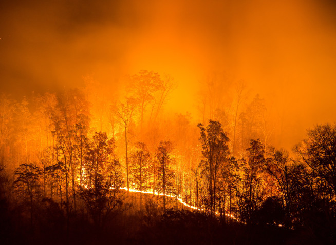 Living Sustainably with Wildfires