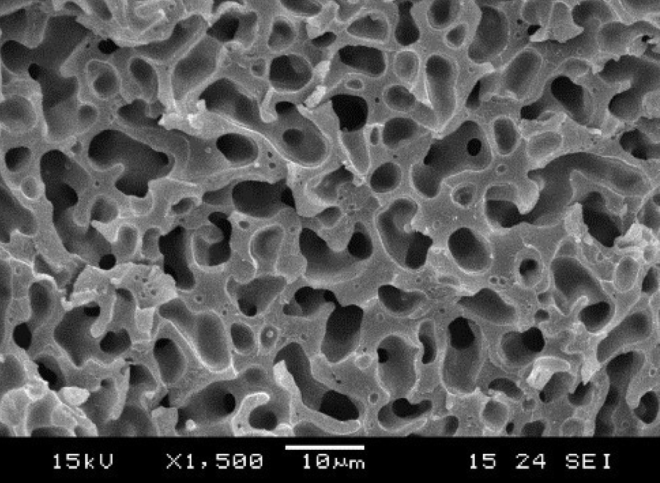 Structural electrolyte microstructure.