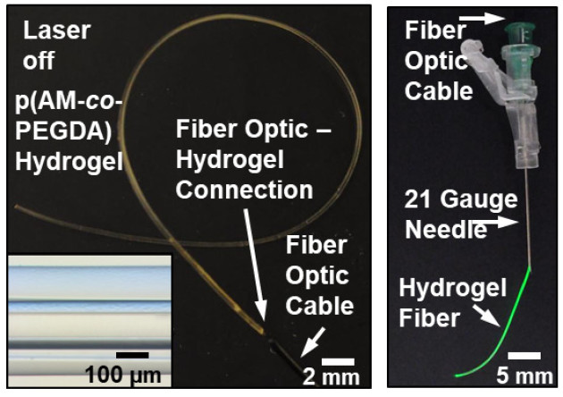 Image of optical fibre sensors showing light transmission