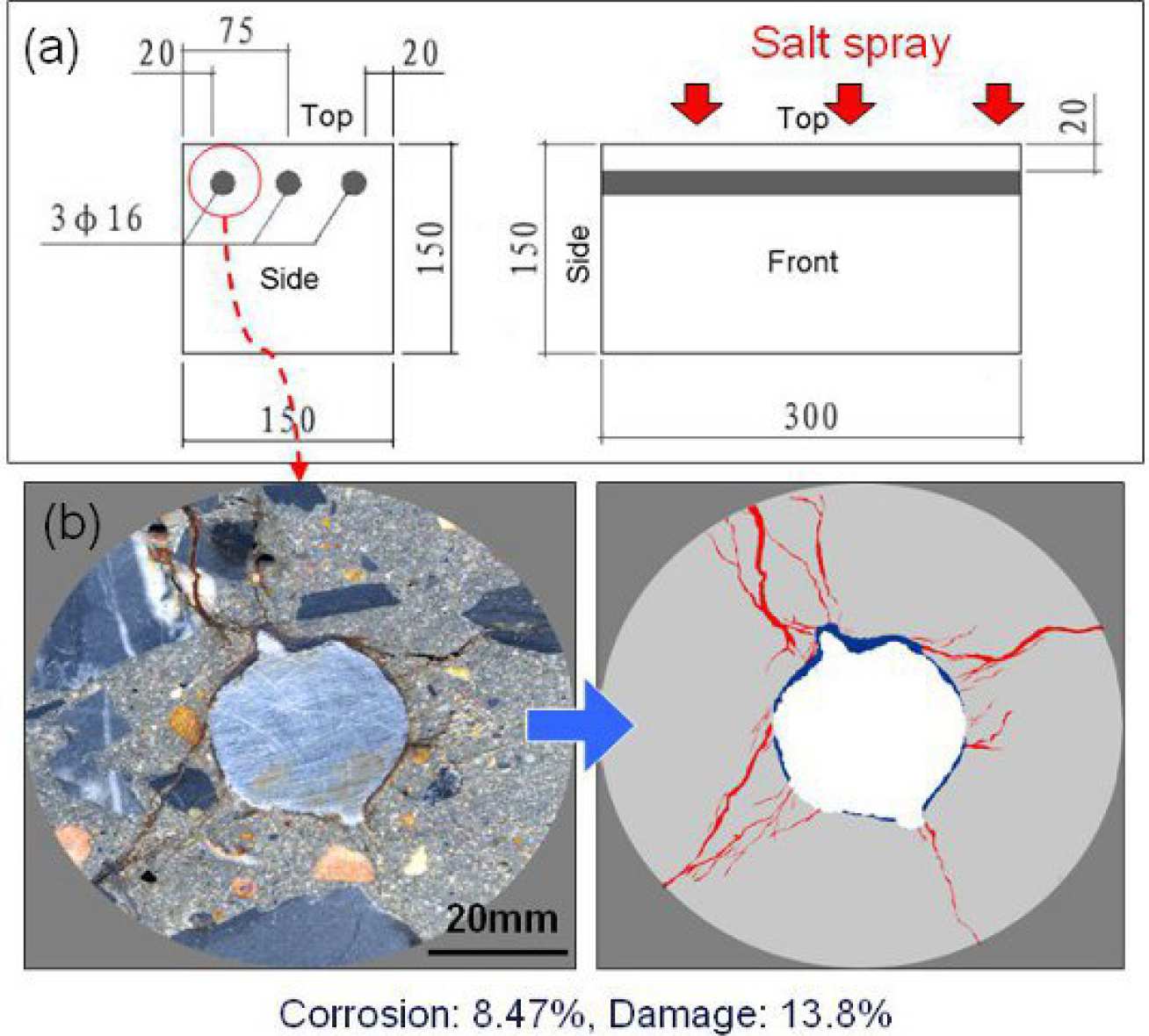  Fig 1: Degree of corrosion and damage amount of cracking and corrosion products (Fig 1b)