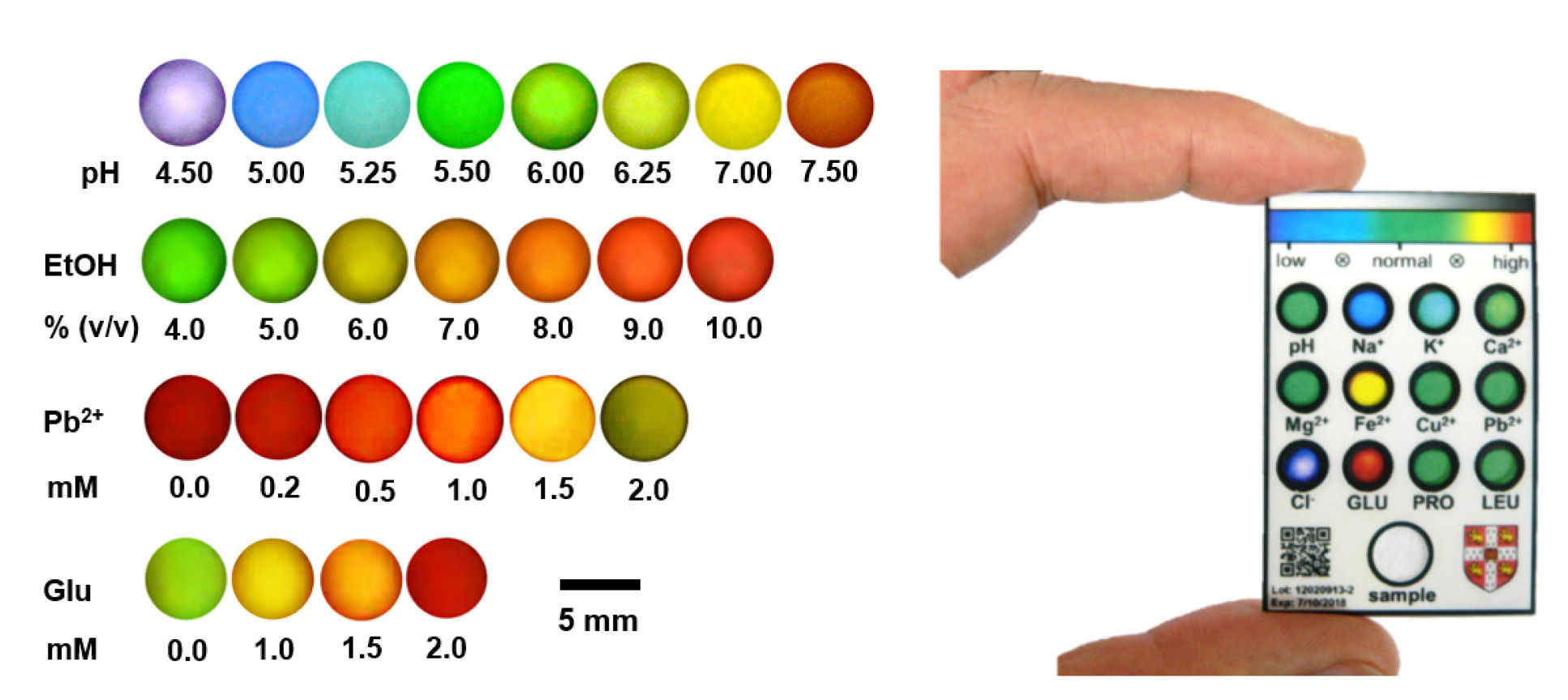 Holographic sensors showing different colours in response to analytes