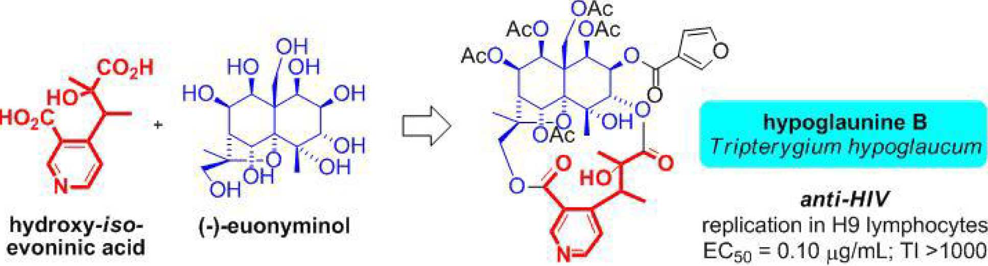 The Spivey Group approach to the synthesis of euonyminol and hydroxy iso-evoninic acid