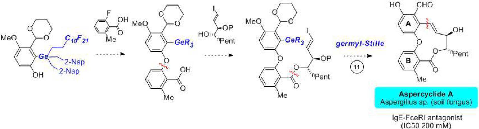 Our approach to the synthesis of aspercyclide A