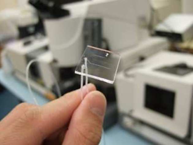 PDMS microfluidic device