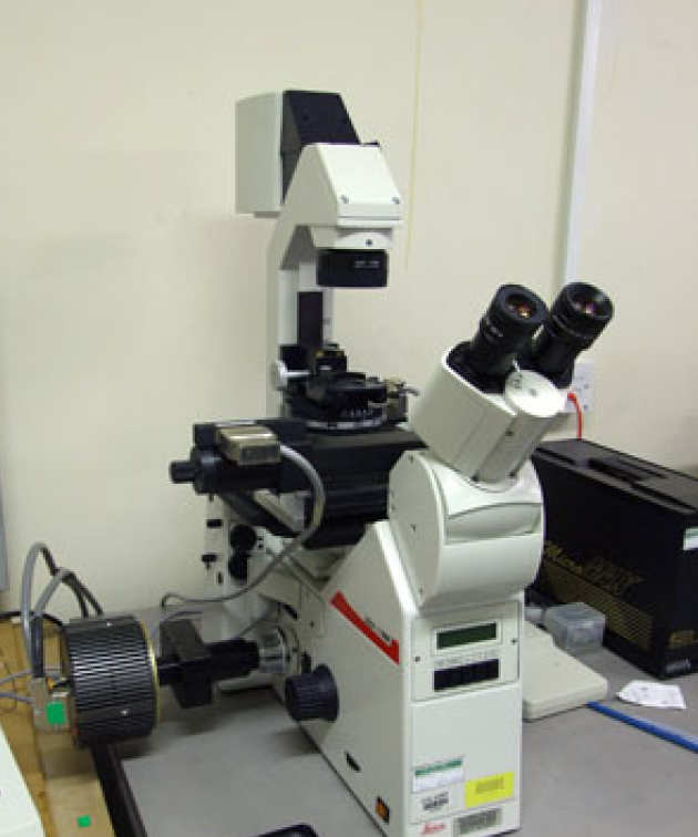 Leica fluorescence microscope