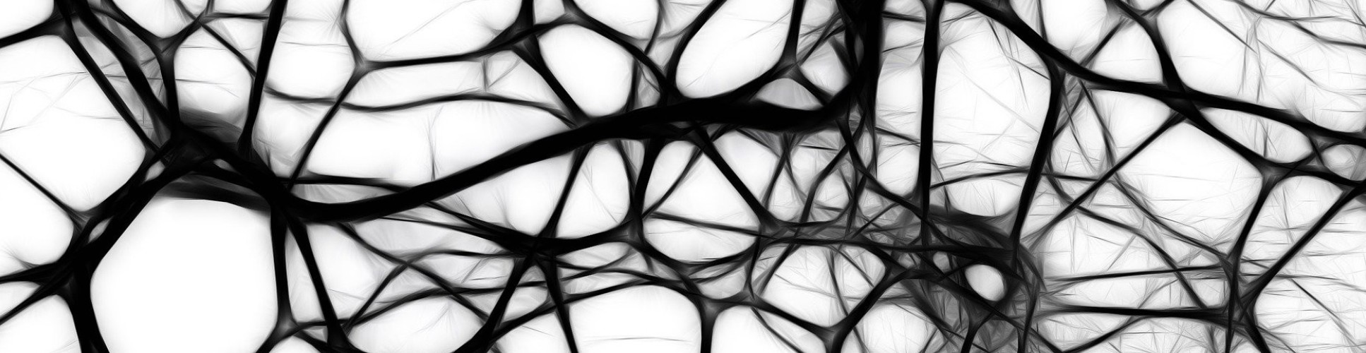 Artist impression of neural networks that look like a complex black web over a white background. Gerd Altmann for Pixabay.
