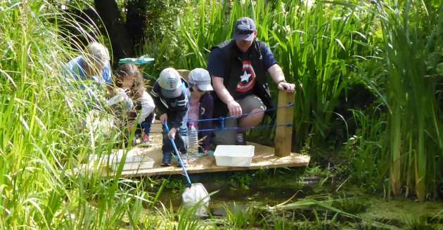 pond_dipping