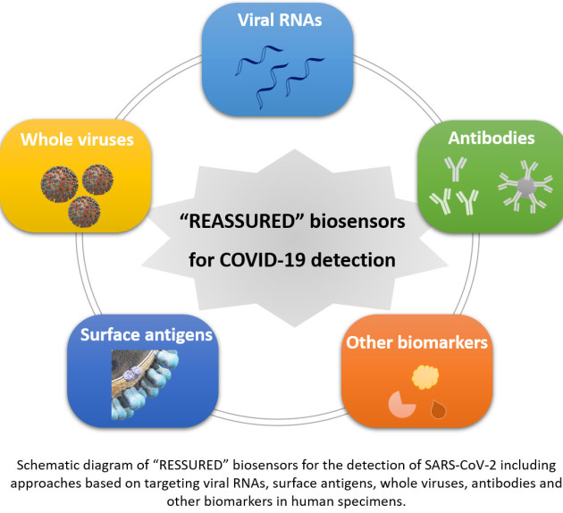 Schematic of biosensor system