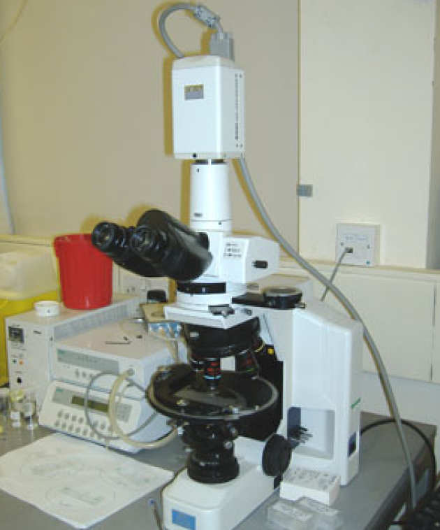 Polarising microscope