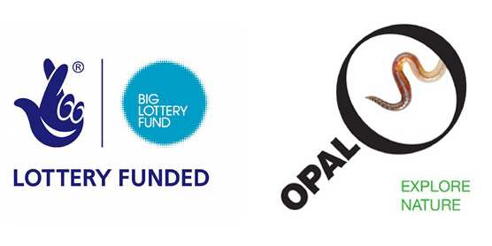 lottery funding and opal logo