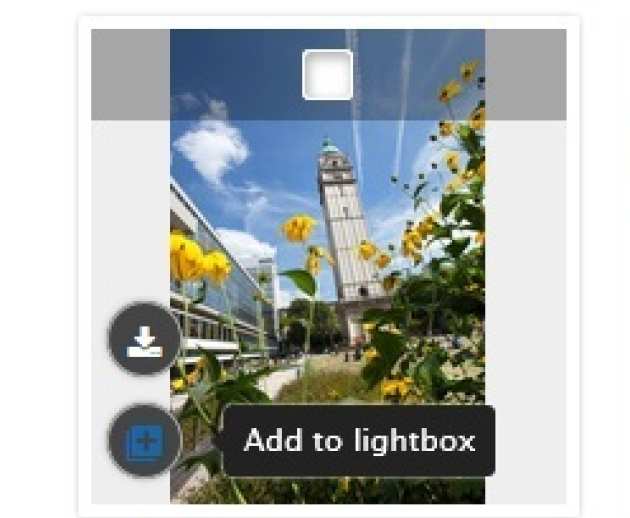 Lightbox feature on an asset