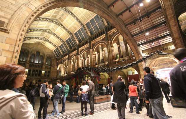 Entrance hall to the Natural History Museum