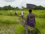 Women carrying water