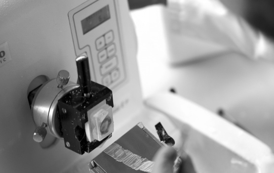 A microtome is used to cut very thin slices of brain tissue.