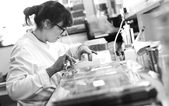 A technician, Julia Steele, prepares histology slides of MS brain tissue.