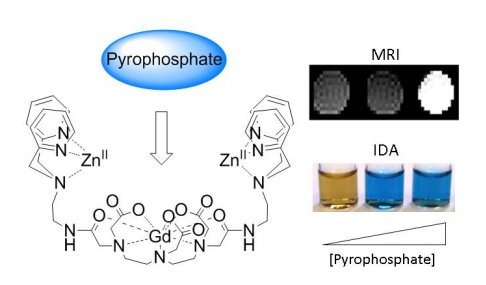 Pyrophosphate sensing