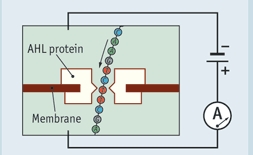 How nanopore sequencing works?