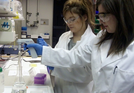Plant chemical biology students investigating technologies for improving crop yield