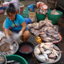 At the fish market