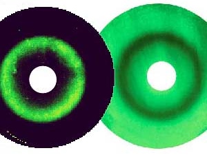 Engineered bacteria make green fluorescent protein ring patterns