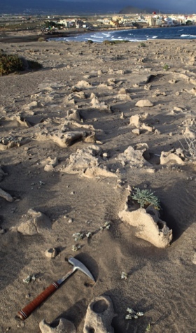 Seismites in El Médano, Tenerife 