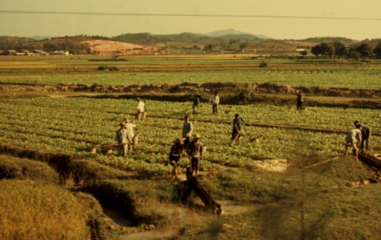 Chinese countryside – peasants in the field using an Archimedes screw for irrigation, 1976