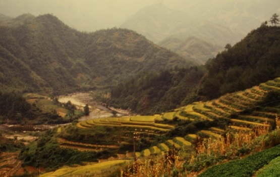 Qin Lin Mountains – terraced fields, 1985-86