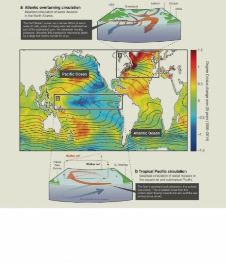Figure showing temperature changes in the oceans, and some of the key Pacific and Atlantic oceanic features involved in the recent hiatus