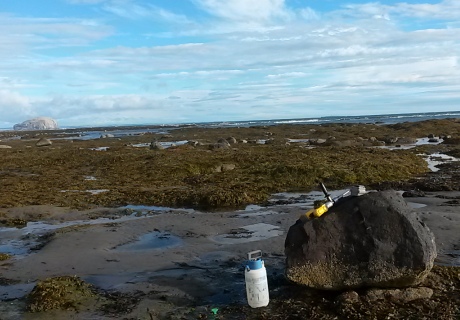 Storm Deposits on the Eastern Coast of Scotland opposite Bass Rock