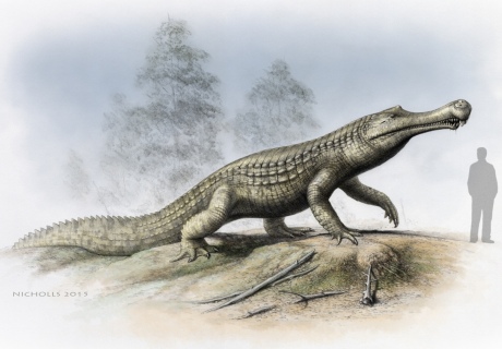 Sarcosuchus; cretaceous crocodile relative