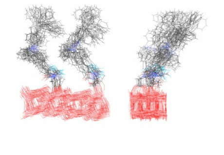 Illustration of the space spanned by the different conformations of a pair of surface anchored indolene dyes.