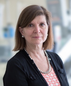 Alison Holmes, Professor of infectious diseases and ARC Champion