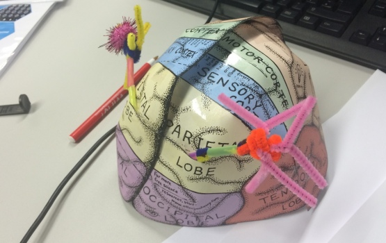 The finished brain-hat!
