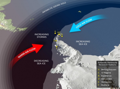 Climate influences on the Antarctic Peninsula