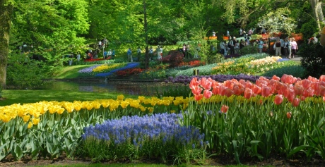 Keukenhof