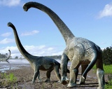 New Australian Sauropod dinosaur - Savannasaurus elliottorum