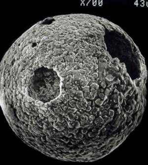 This is not a close-up of the Moon. It is cosmic dust that has long since deployed its bubble parachutes